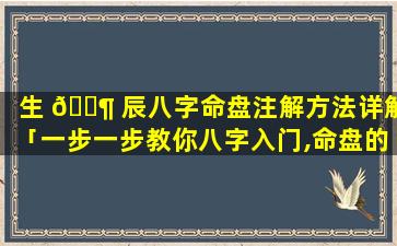 生 🐶 辰八字命盘注解方法详解「一步一步教你八字入门,命盘的认识 🐕 」